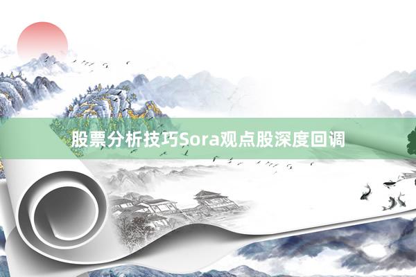 股票分析技巧Sora观点股深度回调