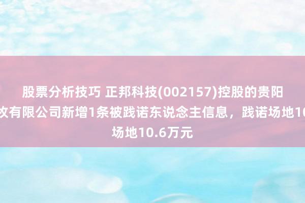 股票分析技巧 正邦科技(002157)控股的贵阳正邦畜牧有限公司新增1条被践诺东说念主信息，践诺场地10.6万元