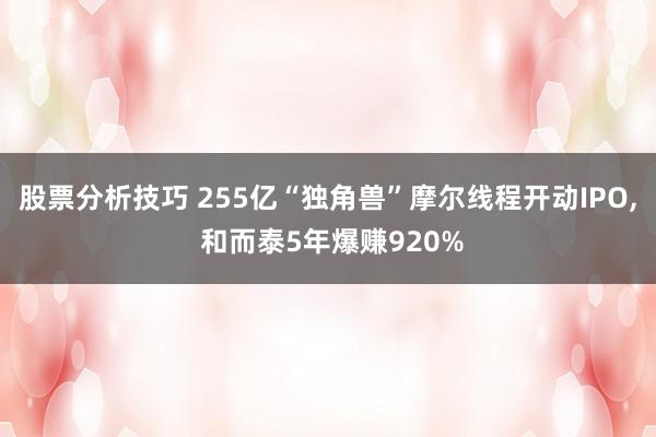 股票分析技巧 255亿“独角兽”摩尔线程开动IPO, 和而泰5年爆赚920%