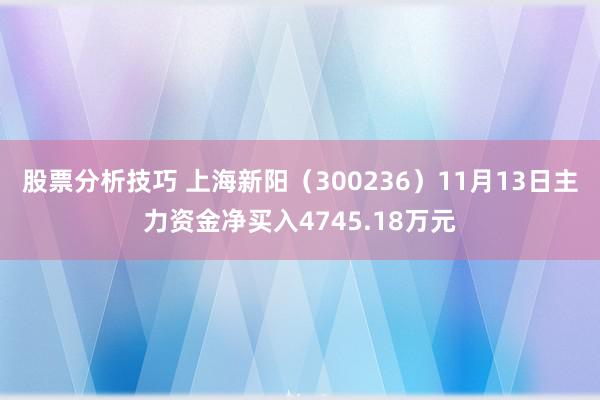 股票分析技巧 上海新阳（300236）11月13日主力资金净买入4745.18万元