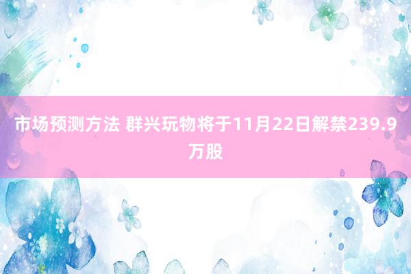 市场预测方法 群兴玩物将于11月22日解禁239.9万股