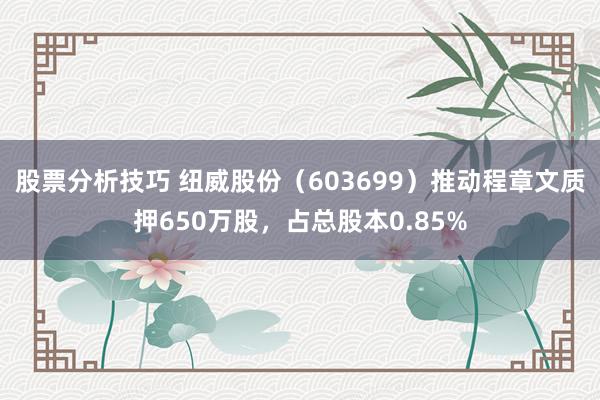 股票分析技巧 纽威股份（603699）推动程章文质押650万股，占总股本0.85%