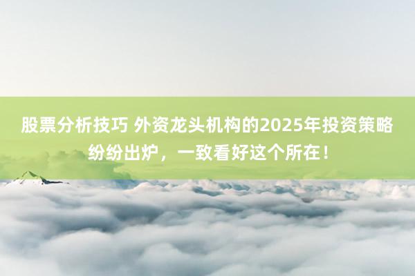 股票分析技巧 外资龙头机构的2025年投资策略纷纷出炉，一致看好这个所在！