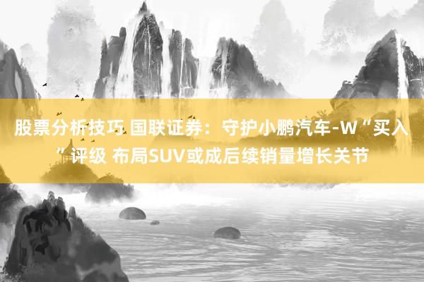 股票分析技巧 国联证券：守护小鹏汽车-W“买入”评级 布局SUV或成后续销量增长关节