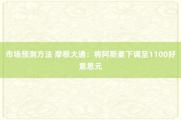 市场预测方法 摩根大通：将阿斯麦下调至1100好意思元