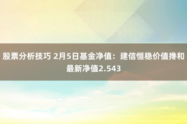 股票分析技巧 2月5日基金净值：建信恒稳价值搀和最新净值2.543