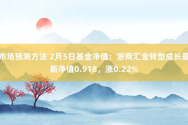 市场预测方法 2月5日基金净值：浙商汇金转型成长最新净值0.918，涨0.22%