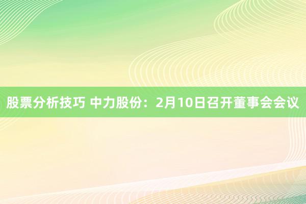 股票分析技巧 中力股份：2月10日召开董事会会议