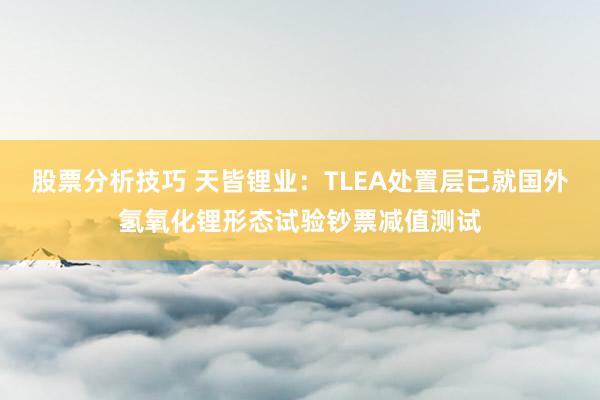 股票分析技巧 天皆锂业：TLEA处置层已就国外氢氧化锂形态试验钞票减值测试