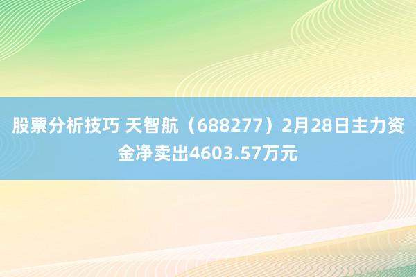 股票分析技巧 天智航（688277）2月28日主力资金净卖出4603.57万元