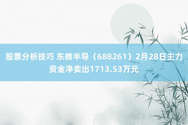 股票分析技巧 东微半导（688261）2月28日主力资金净卖出1713.53万元