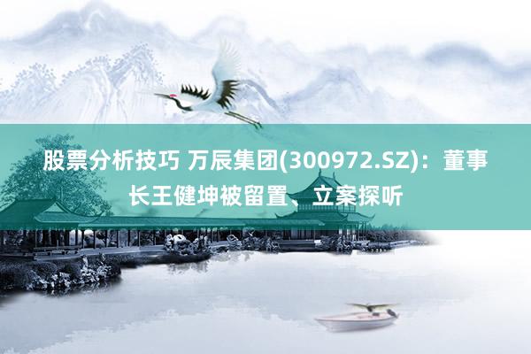 股票分析技巧 万辰集团(300972.SZ)：董事长王健坤被留置、立案探听