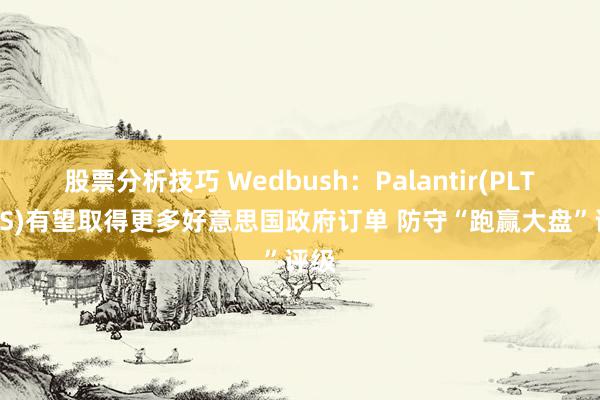 股票分析技巧 Wedbush：Palantir(PLTR.US)有望取得更多好意思国政府订单 防守“跑赢大盘”评级