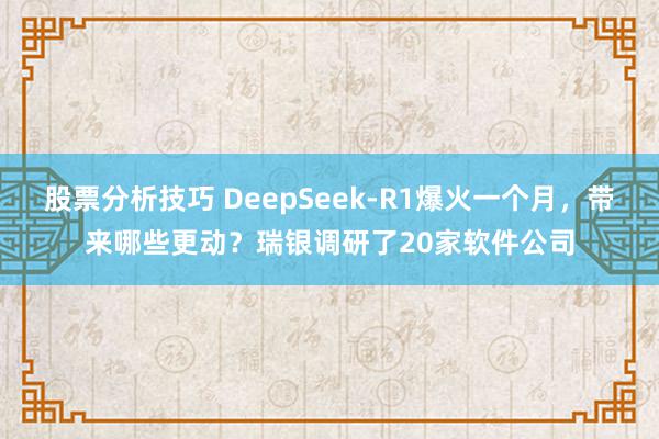 股票分析技巧 DeepSeek-R1爆火一个月，带来哪些更动？瑞银调研了20家软件公司