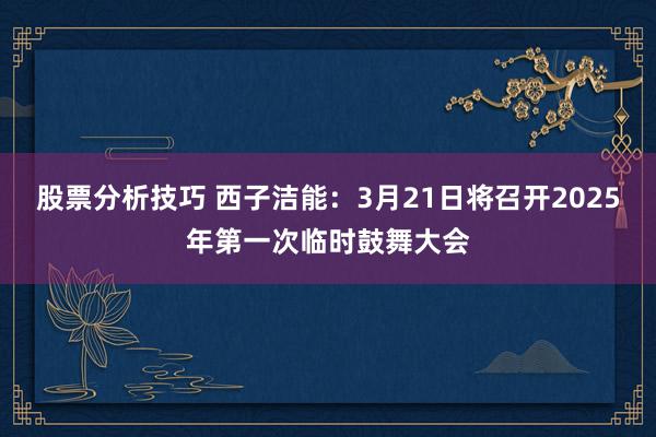 股票分析技巧 西子洁能：3月21日将召开2025年第一次临时鼓舞大会