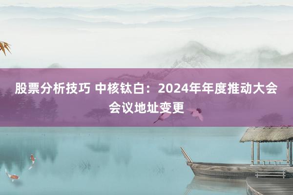 股票分析技巧 中核钛白：2024年年度推动大会会议地址变更