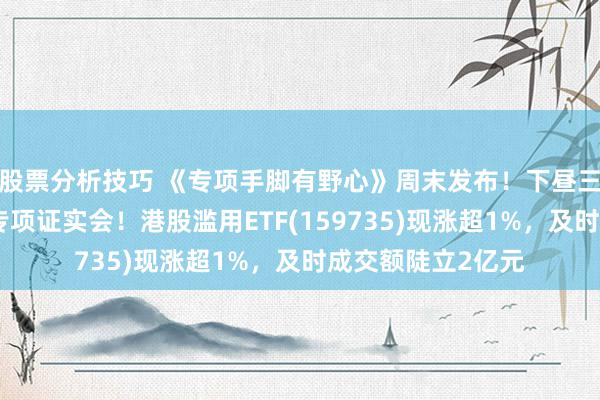 股票分析技巧 《专项手脚有野心》周末发布！下昼三点还有提振滥用专项证实会！港股滥用ETF(159735)现涨超1%，及时成交额陡立2亿元